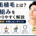 自毛植毛とは　仕組み