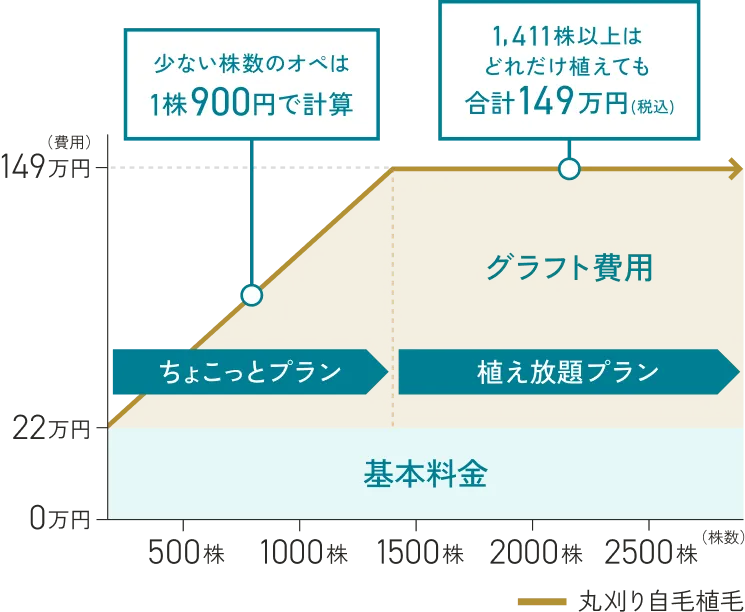 東京植毛クリニック　料金シミュレーション